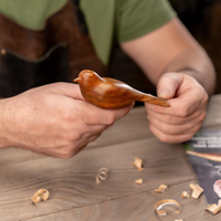 Comfort Bird & Celtic Spoon DIY Set - Beginner Woodcarving Kits