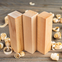 Wizard Carving Kit – Complete Starter Whittling Kit for Beginners, Kids & Adults – DIY03